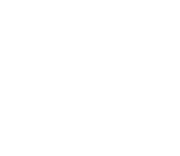 Data and Analysis Franson